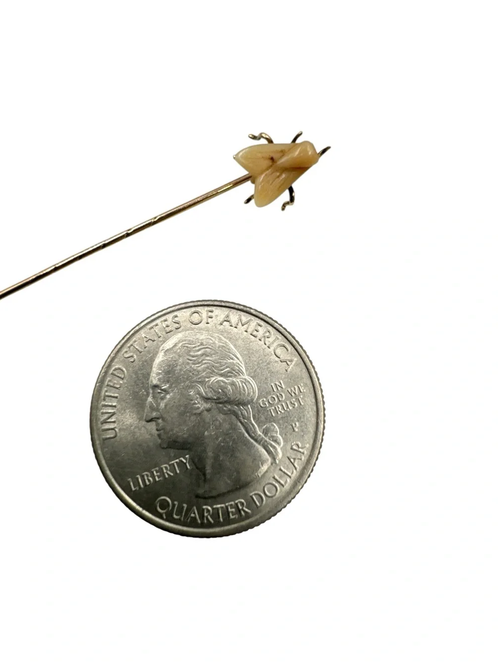 Antique Victorian 14K Gold Carved Tooth Fly Stick Pin Safety Cap
